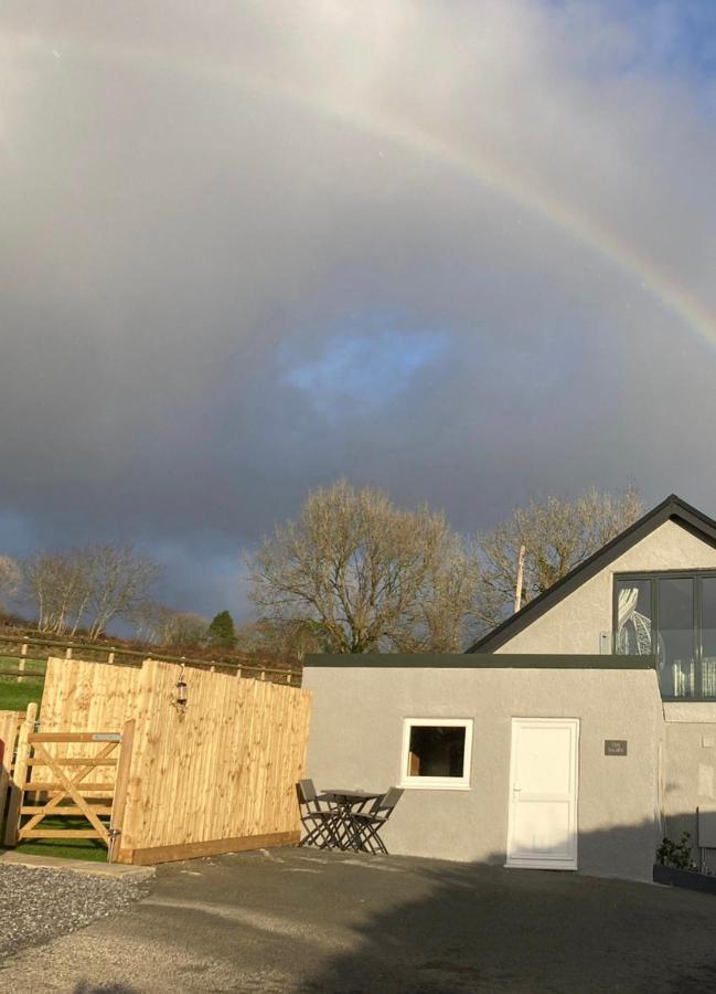Adorable Bedsit For You, Partner And Your Pet! Stepaside  Exterior foto